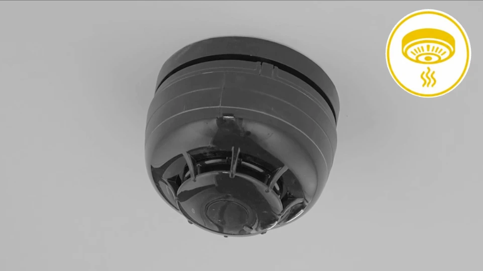 Rookdetector
